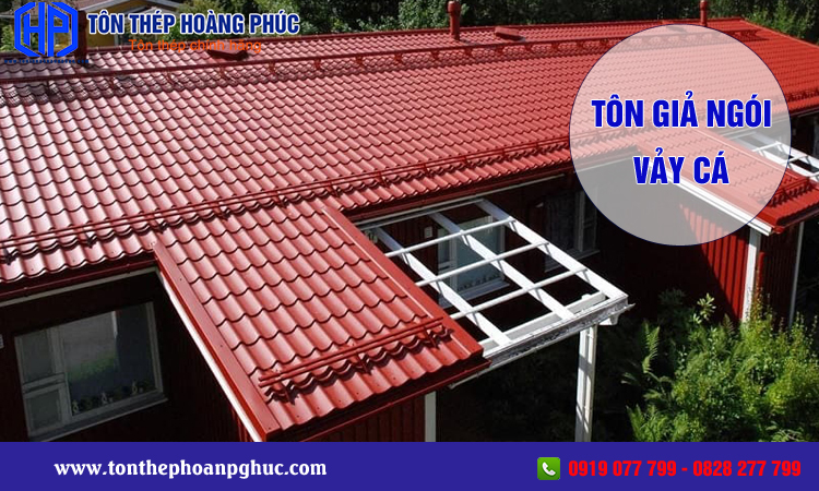 Tôn giả ngói vảy cá